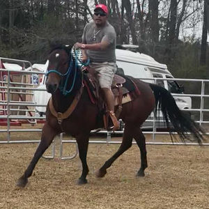 Meet your Posher, Nicolas mendez